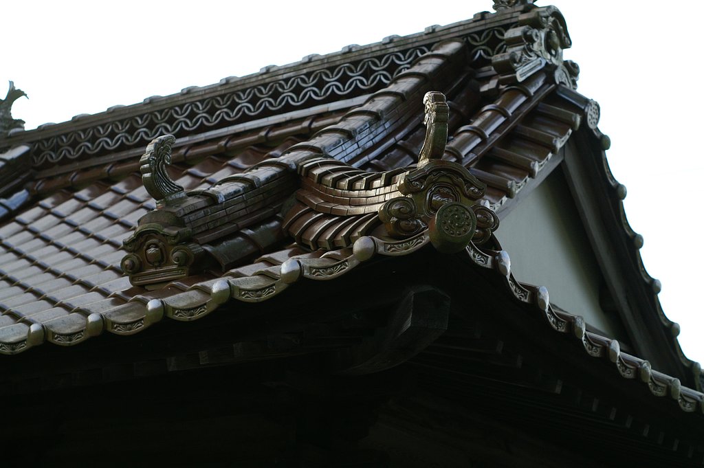 試写