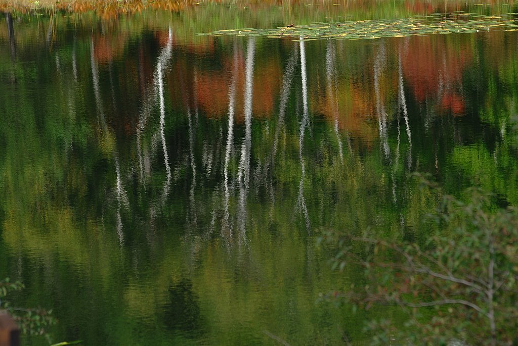 一沼の紅葉