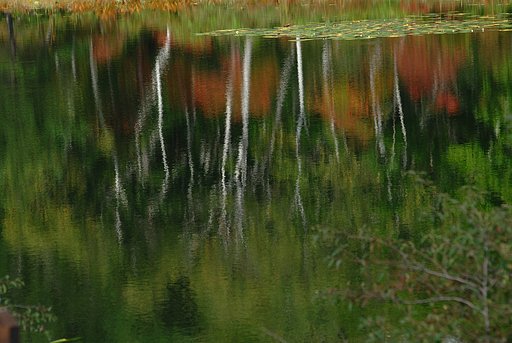 一沼の紅葉