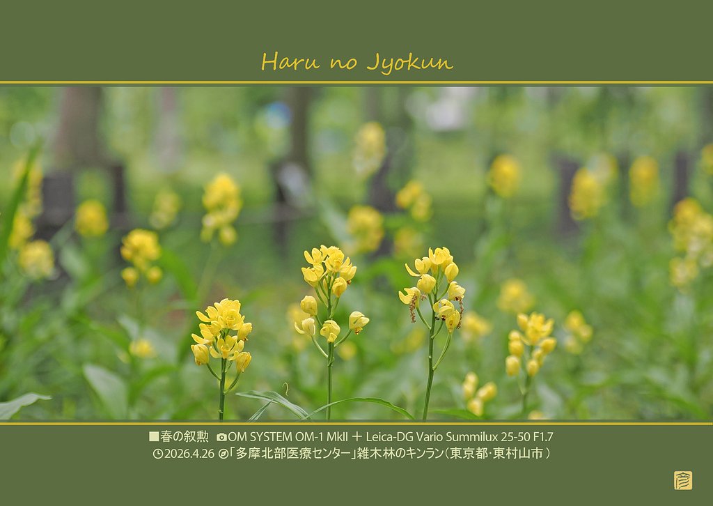 春の叙勲