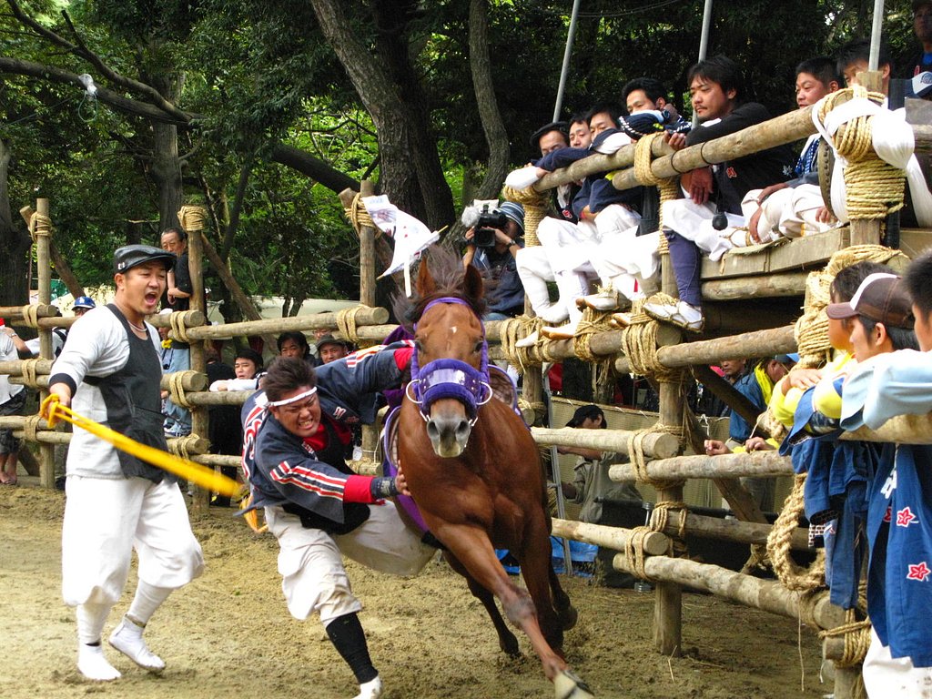 【秋】だ！祭りだ！