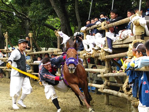 【秋】だ！祭りだ！
