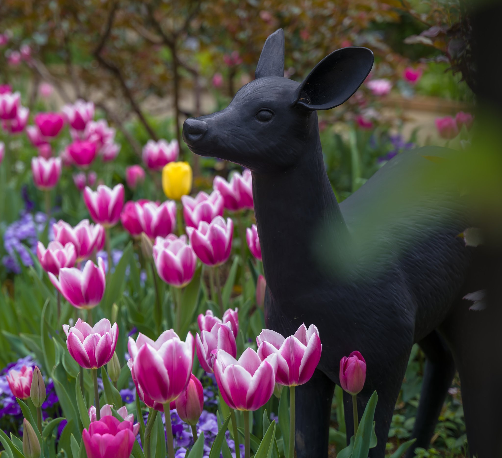 のんびりと、お花見