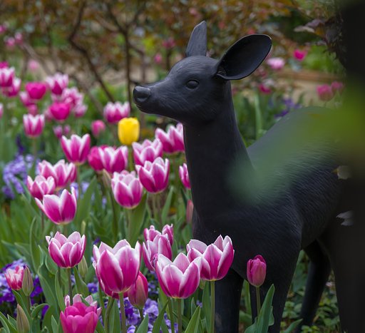 のんびりと、お花見