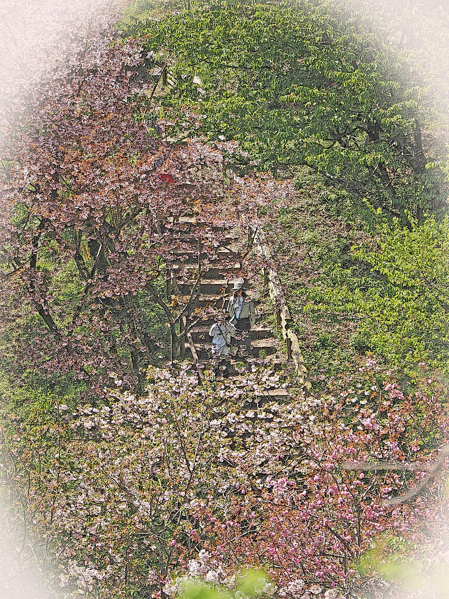 坂のある風景～高尾森林科学園～