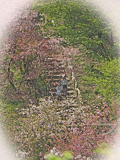 坂のある風景～高尾森林科学園～