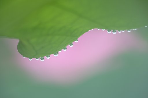 7月18日の写真