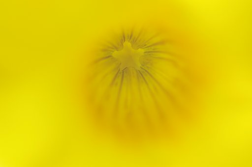 黄色の世界