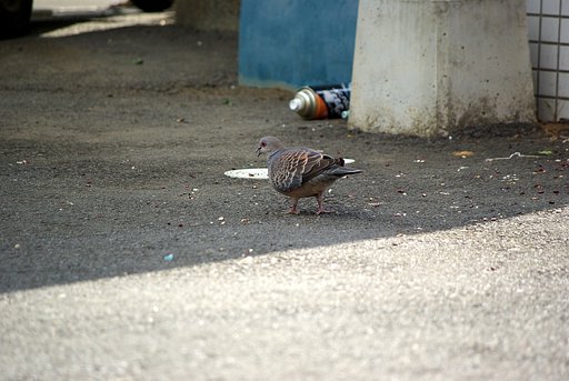 ポッポッポッ・・・