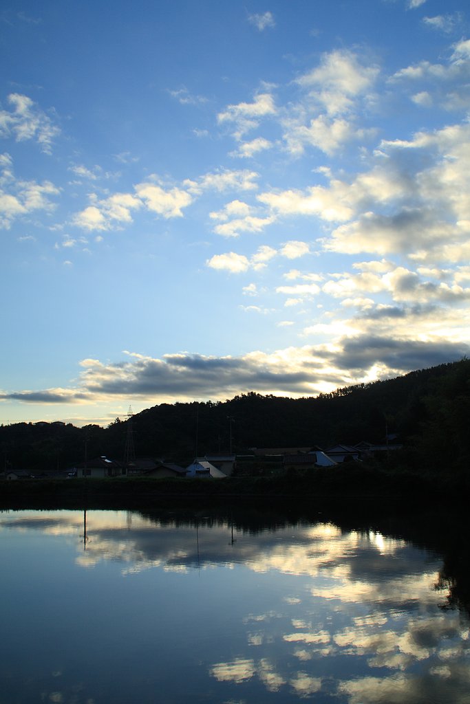 溜池の早朝