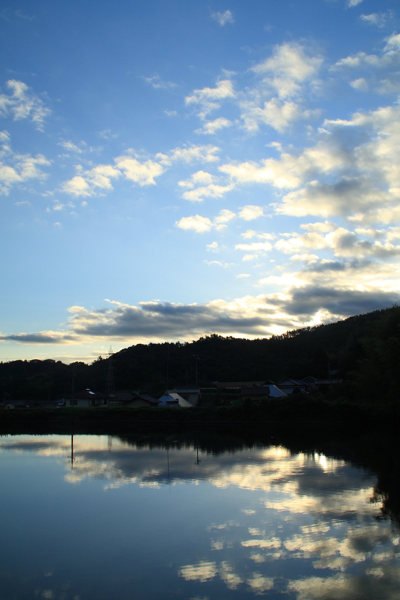 溜池の早朝
