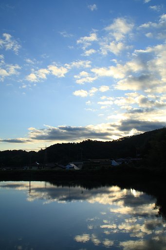 溜池の早朝