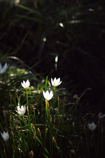 AM7時43分
