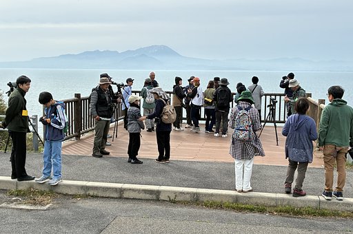 野鳥観察会