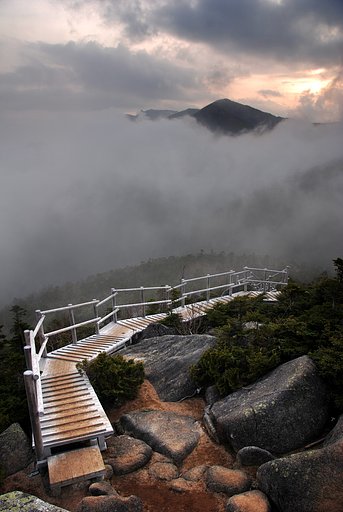 大弛峠、夢の庭園