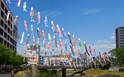 空高く