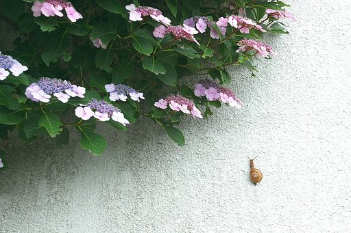 梅雨の合間に