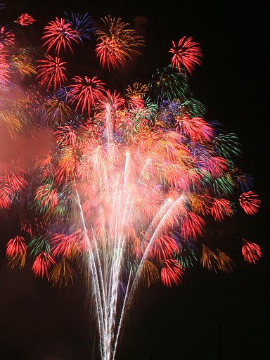 花火芸術（光の花束）