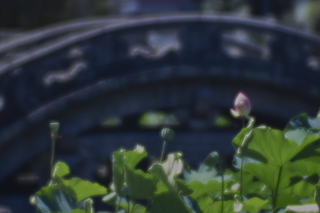 陽炎