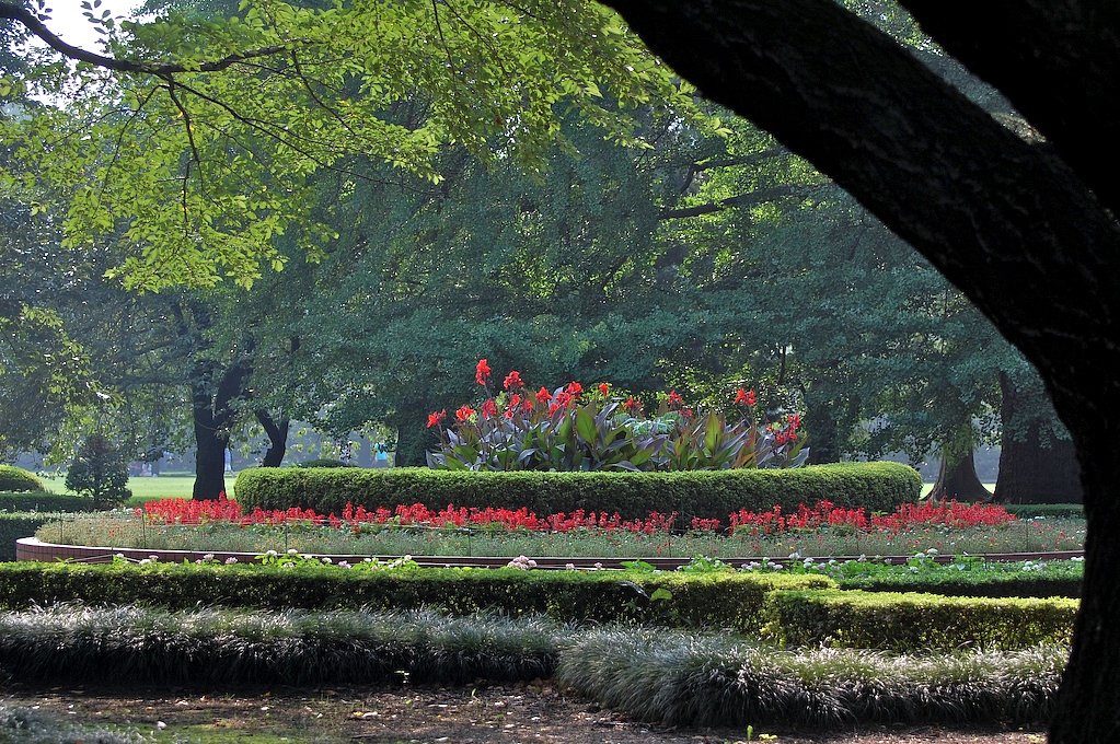 公園の花壇