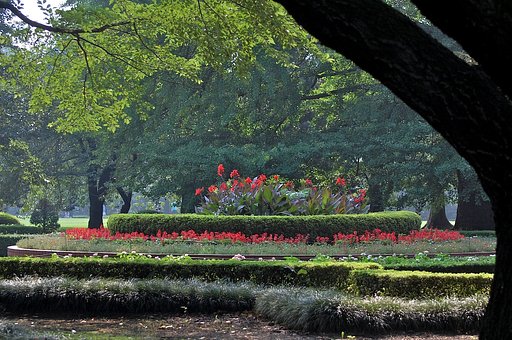 公園の花壇
