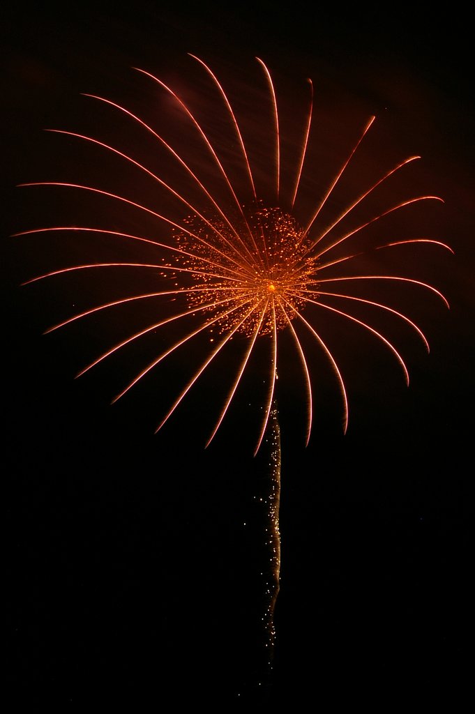 シックな花火？