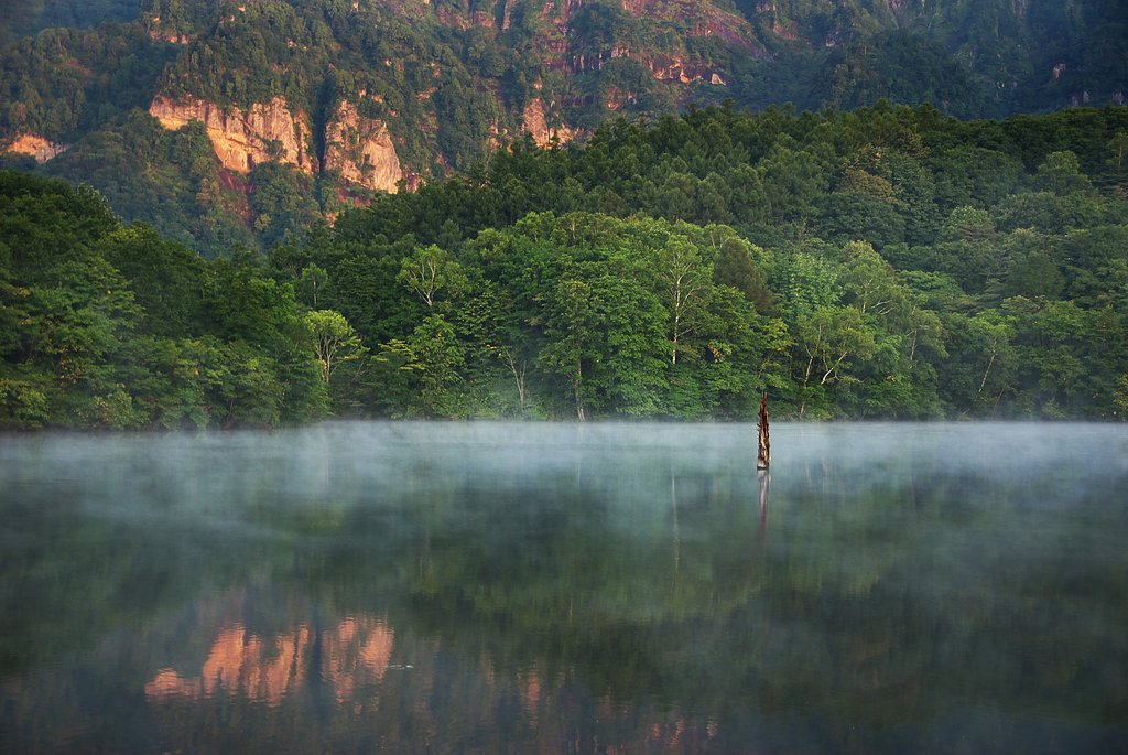 朝の鏡池