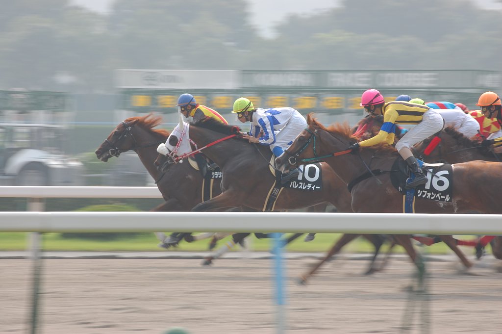 競走馬
