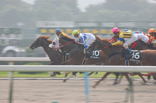 競走馬
