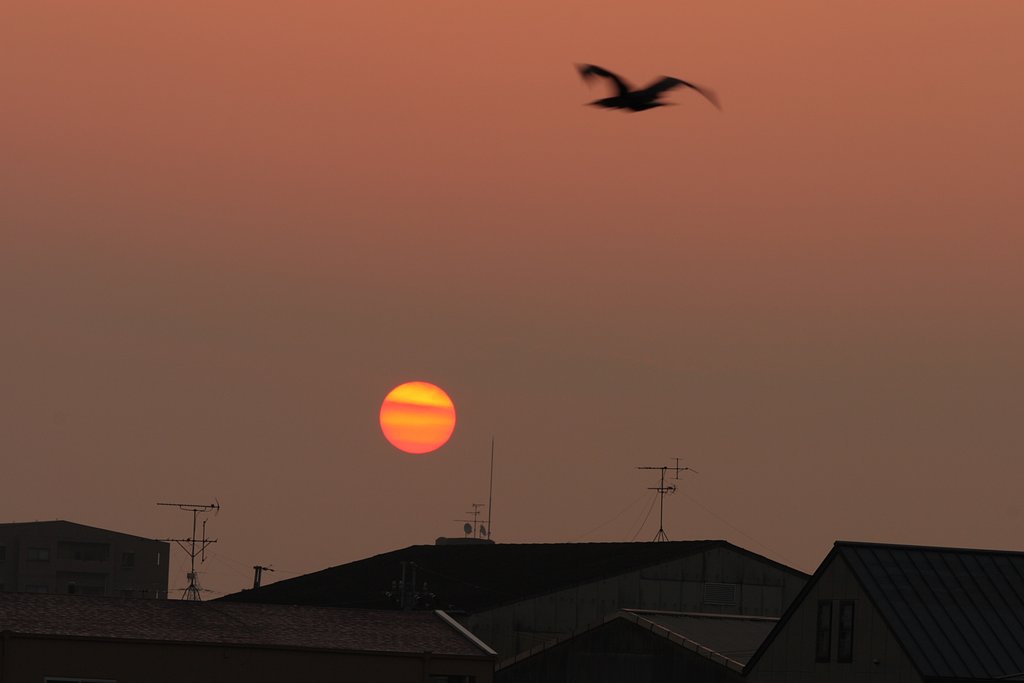 日は昇る