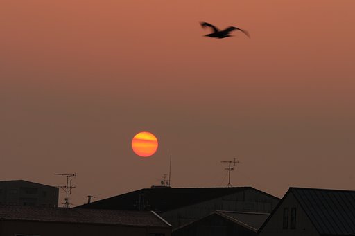 日は昇る
