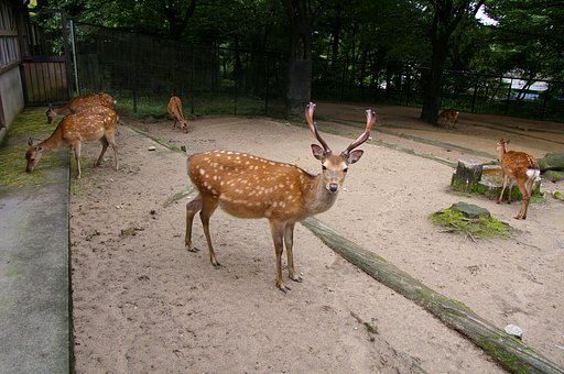 そんな不思議そうな目で見ないでね