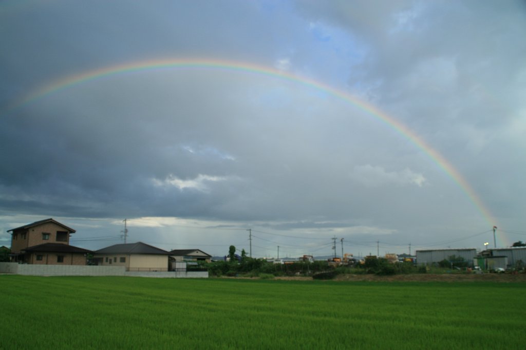巨大な虹