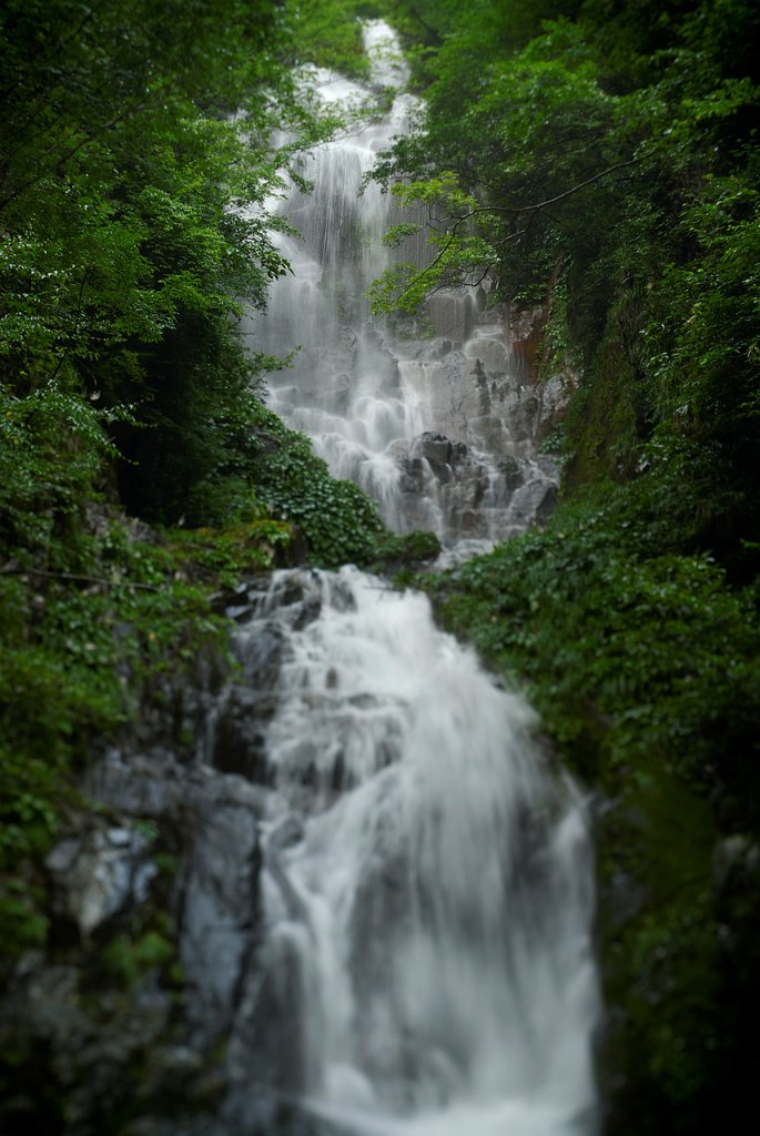 箱庭の滝
