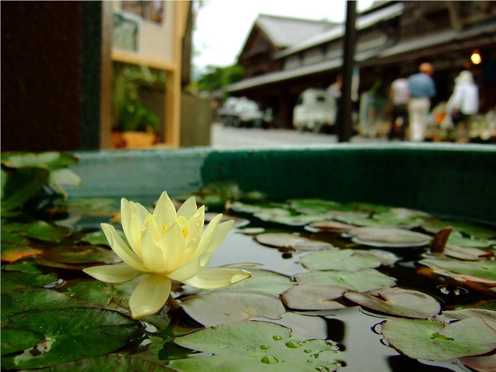 梅雨明けはもうすぐ