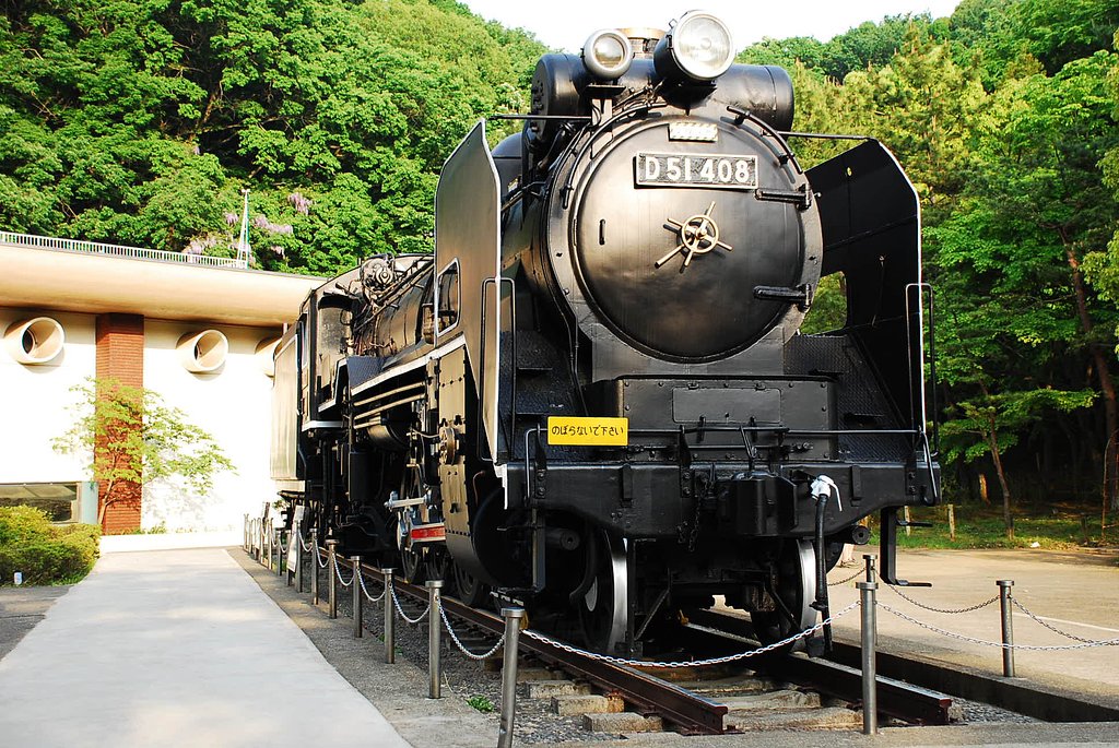 D51