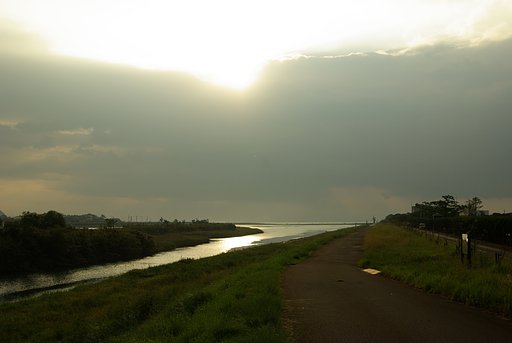 朝の散歩道