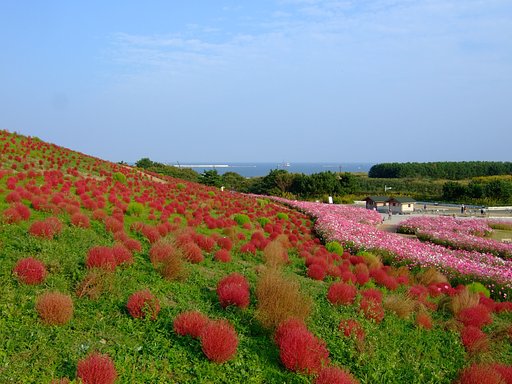 奥には海が・・・