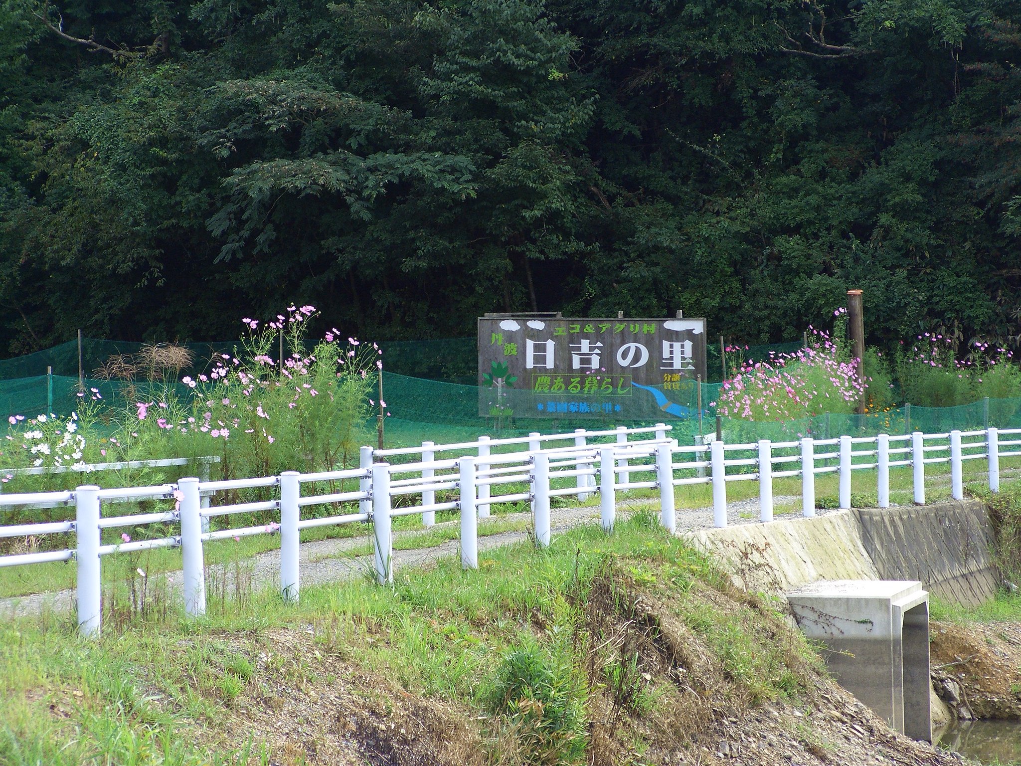 日吉の里