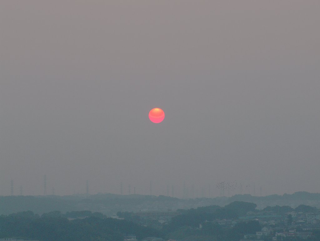 真っ赤な太陽　清楚系
