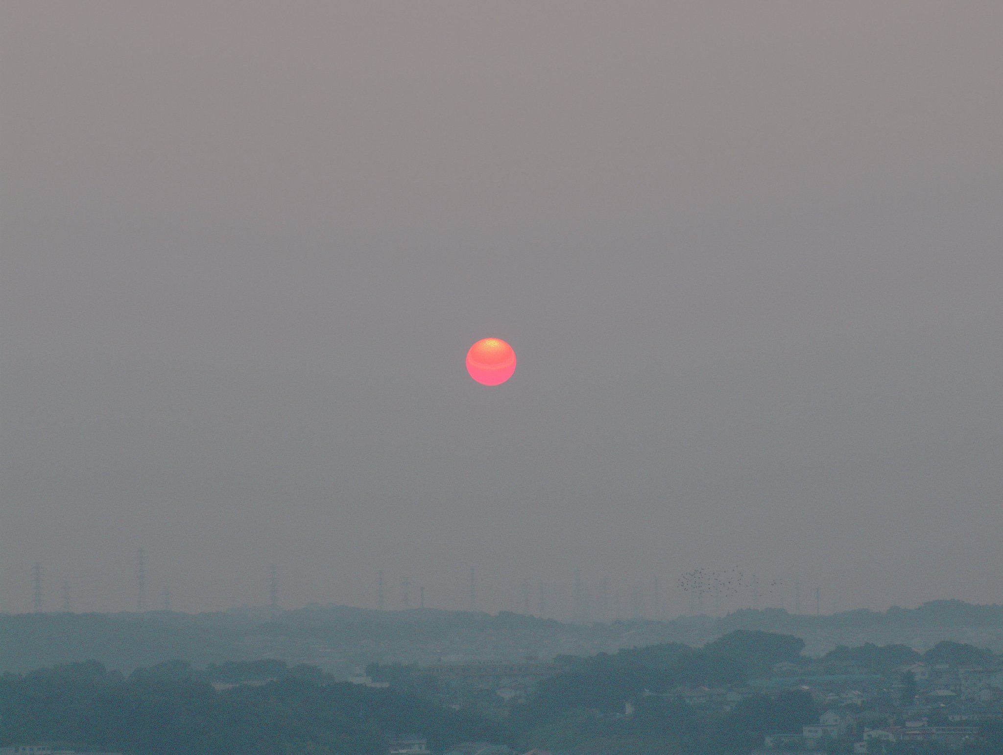 真っ赤な太陽　清楚系