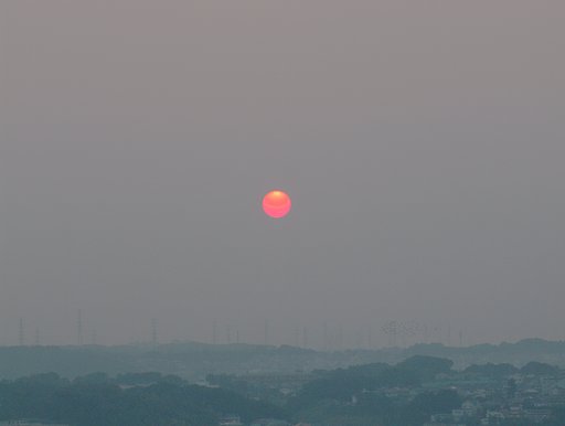 真っ赤な太陽　清楚系