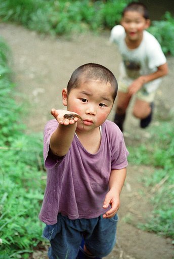 これっ！おたまじゃくし