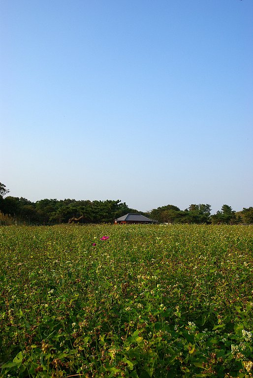 孤独に・・・