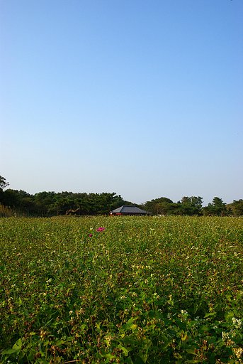 孤独に・・・