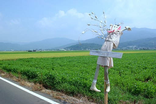 参りました・・・