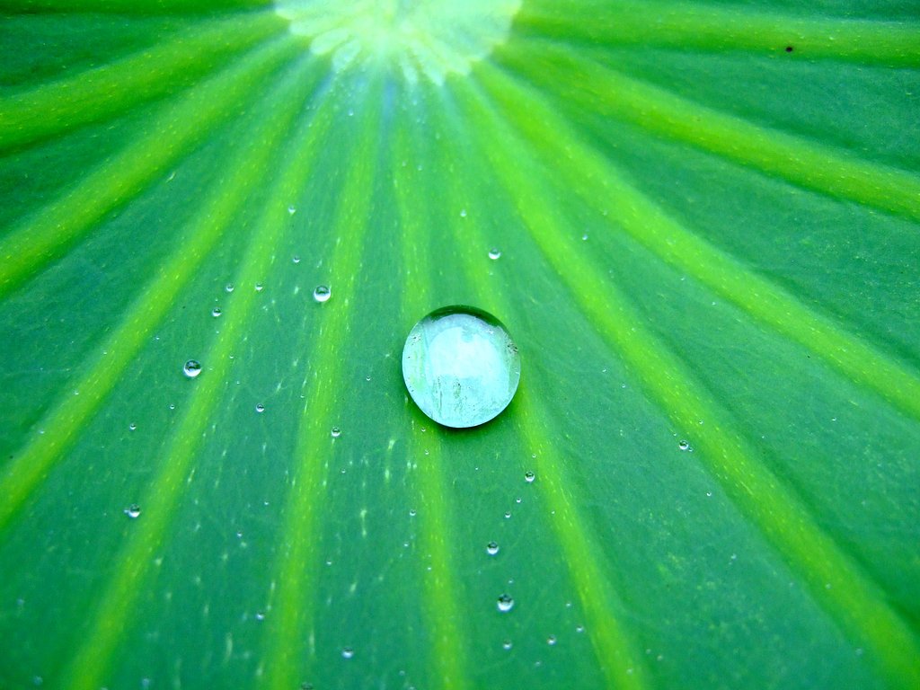 水玉君・・・