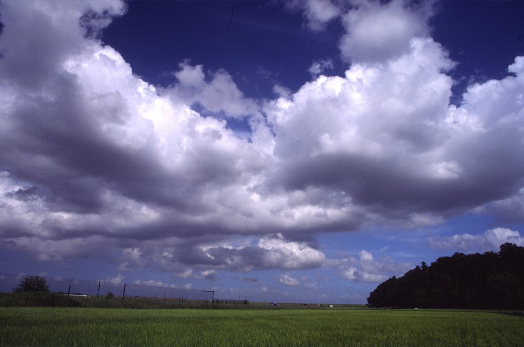 夏の空
