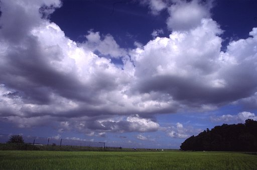 夏の空