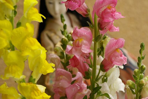 部屋の花瓶より